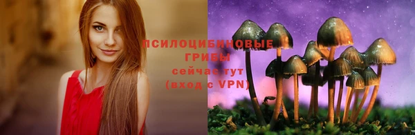 амфетамин Гвардейск