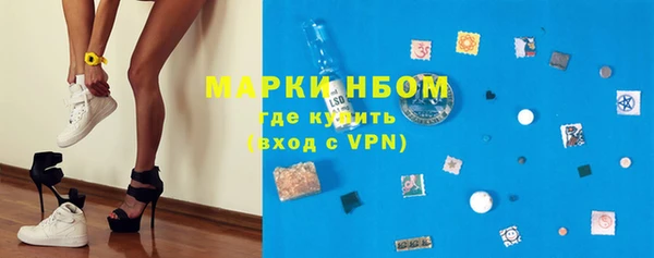 стафф Баксан