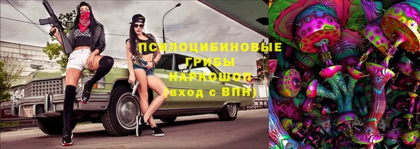 стафф Баксан
