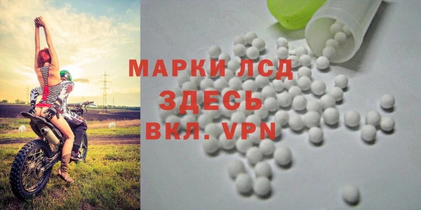 стафф Баксан