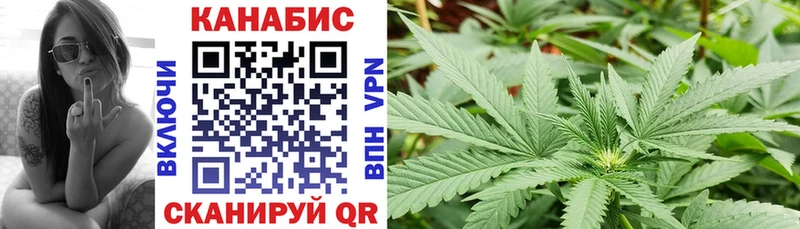 Каннабис Amnesia Новый Оскол